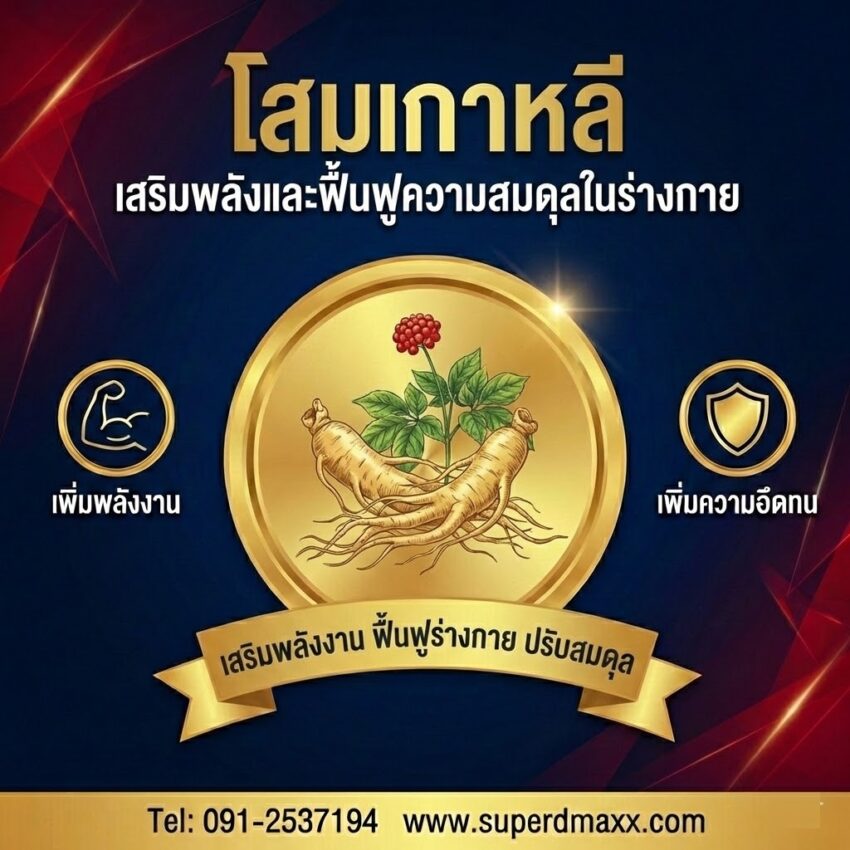 โสมเกาหลี (Korean Ginseng)