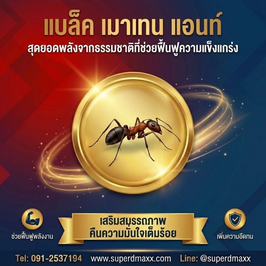 แบล็ค เมาเทน แอนท์ (Black Mountain Ant)
