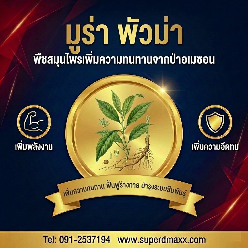 มูร่า พัวม่า (Muira Puama)